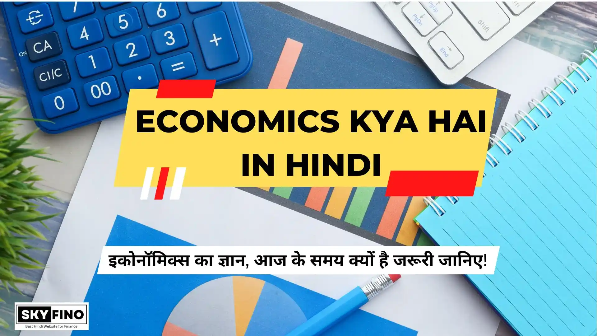 Economics in Hindi