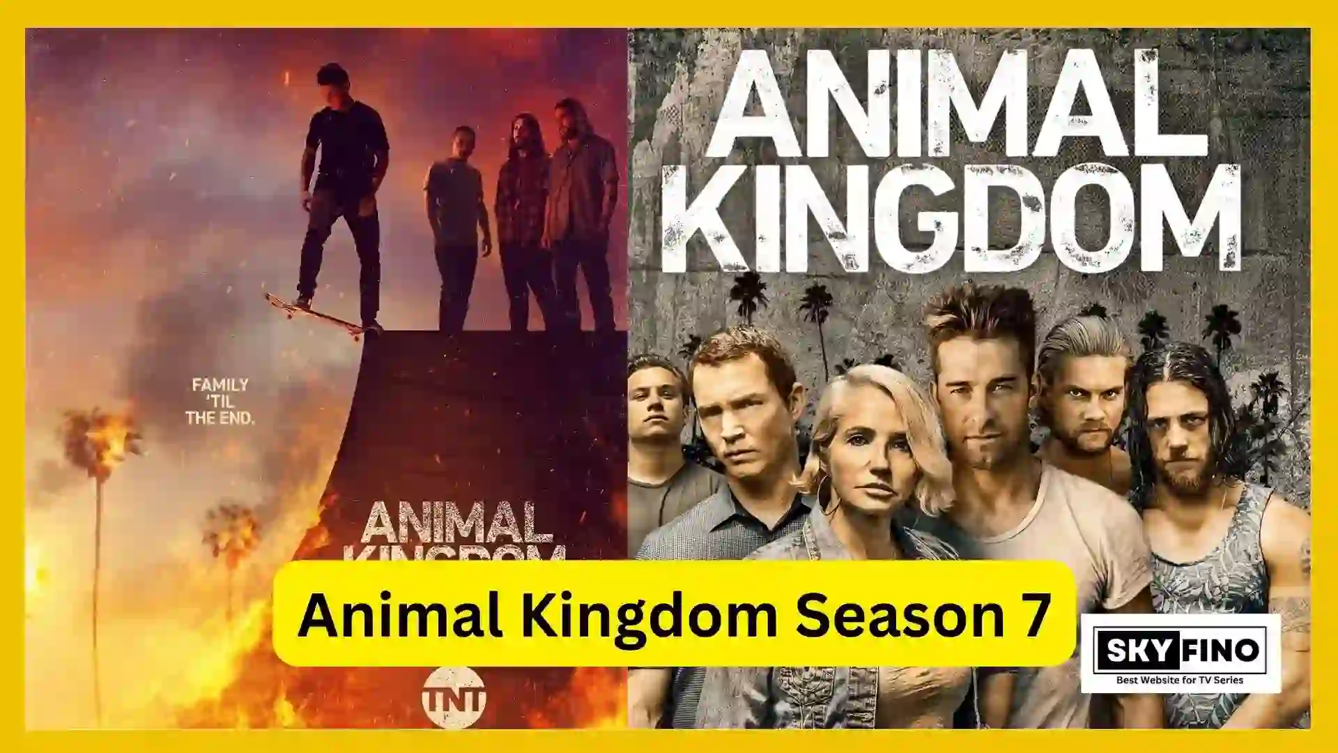 Animal Kingdom Season 7
